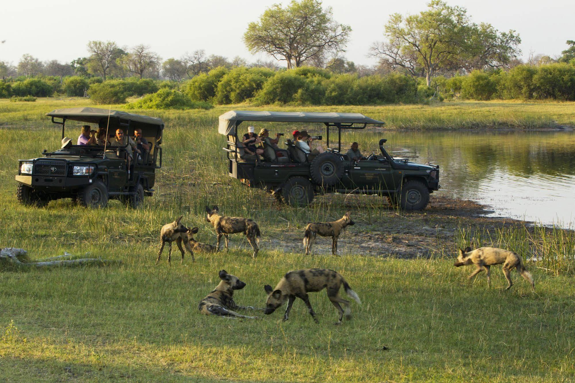 Selinda Camp Selinda Reserve Exterior foto