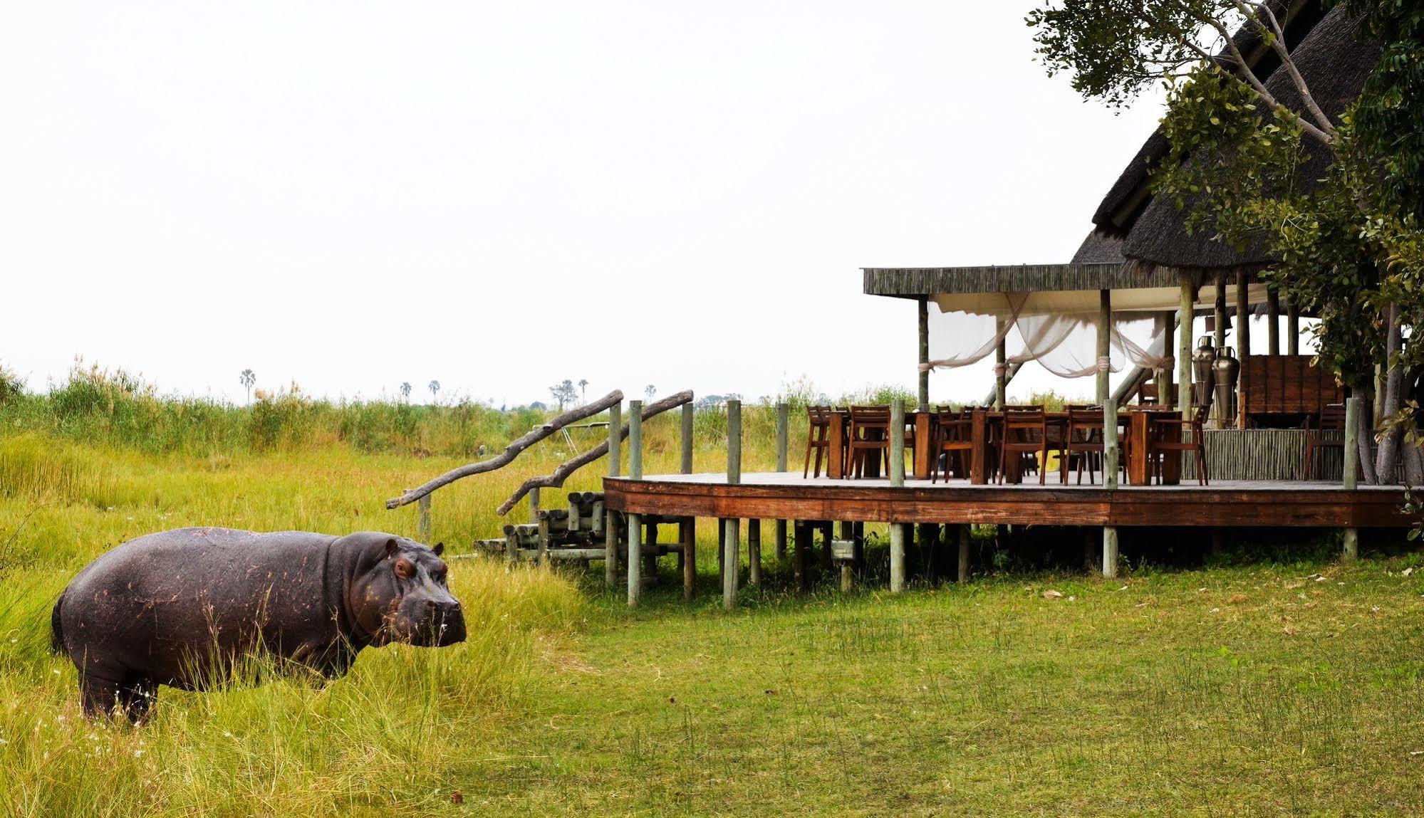 Selinda Camp Selinda Reserve Exterior foto